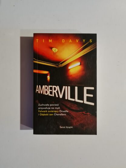 Książka Amberville