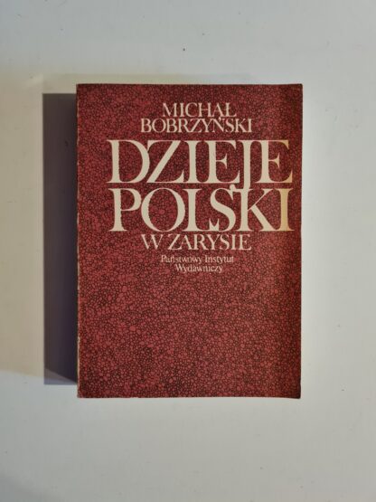 Książka Dzieje Polski w zarysie
